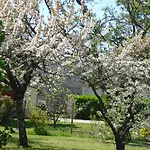 Le Manoir Lacustre