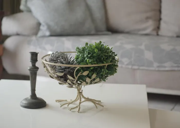 게스트하우스 Le Manoir Lacustre Queyrac